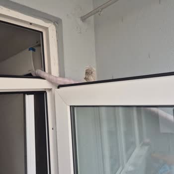 Arçelik Yetkili Servisi Kolon Ve Balkon Camına Zarar Verdi, Çözüm Bekliyor