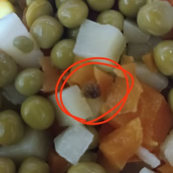 A101 Sağlık Riski Oluşturan Garnitürde Soyulmamış Sebzeler Ve Yabancı Cisimler