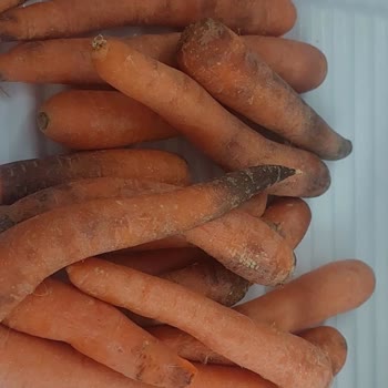 Şok Market'ten Çürük Sebzeler Ve Eksik Ürün, Geri Ödeme Talebi