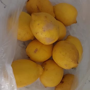 Şok Market'ten Çürük Sebzeler Ve Eksik Ürün, Geri Ödeme Talebi