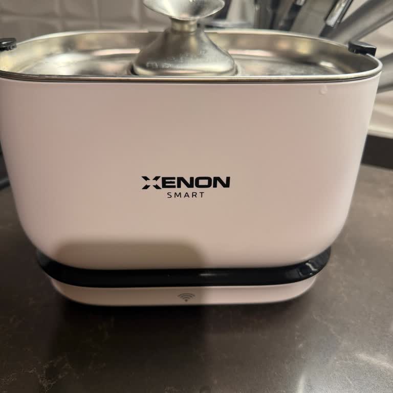 Xenon Akıllı Su Pınarı Su Akışı Kesildi Ve Yardım Yok