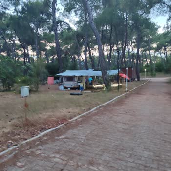 Kampta Haksız Ücret, Engelli Ayrımcılığı Ve Hakaretli Muamele
