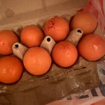 Teslimat Gecikmesi Ve Kırık Yumurta Şikayeti