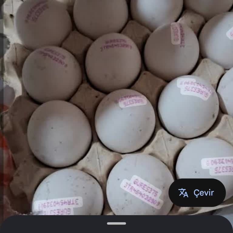 Küflü Yumurta Ve Yetkisiz Kart İşlemi İçin Hızlı İade Talebi