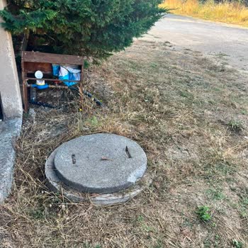 İstanbul Büyükşehir Belediyesi Sivrisinek İstilasına Karşı İhmal Şikayeti