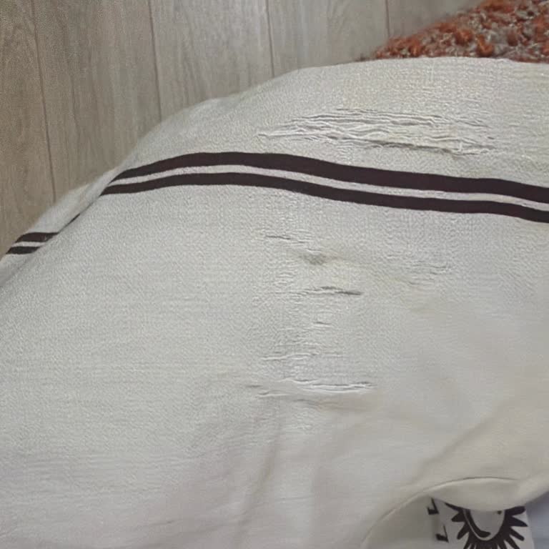 Marmara Forum H&M Mağazasında Fiş Olmadan Ürün İncelemesi Reddedildi