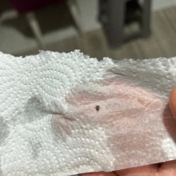 Happy Life Organik Nohutta Böcek Çıktı Ve Aile Sağlığımız Tehlikede