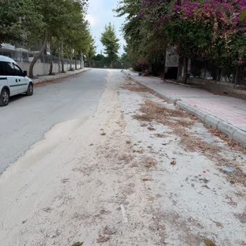 Mezitli Mahallesinde Bozuk Yol, Çevre Kirliliği Ve Sağlık Riski