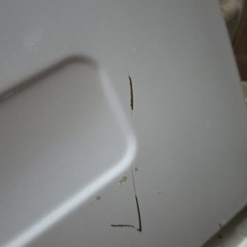 Garanti Altındaki Beko Çamaşır Makinesi Su Sızdırıyor Ve Çiziklerle Dönüyor