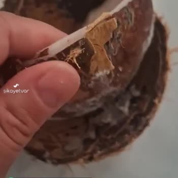 Metro Grossmarket'ten Aldığım Bozuk Hindistan Cevizi!