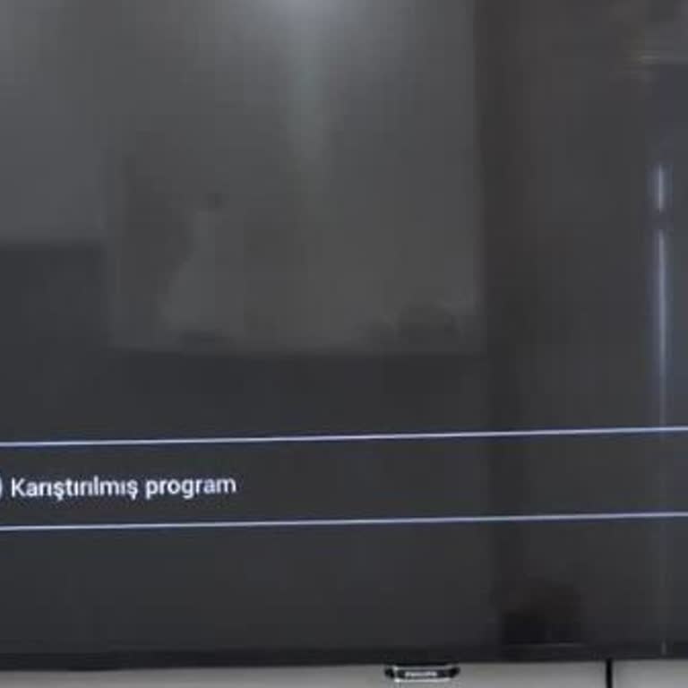 Philips TV Ekranının Karıştırılmış Program Hatası Çözüm Talebi