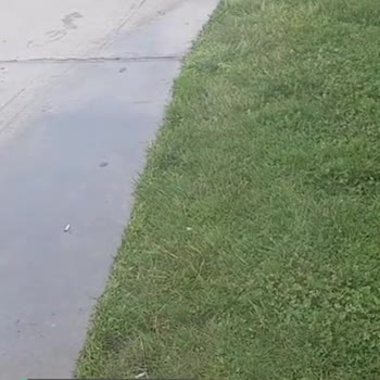 Ankara Bilkent Şehir Hastanesi Sadece Çimleri Değil Bizi De Suluyorlar!