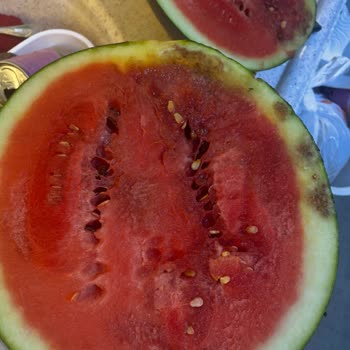 Bozuk Karpuz Teslimatı Ve Müşteri Hizmetlerinde Cevapsızlık