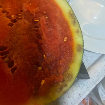 Bozuk Karpuz Teslimatı Ve Müşteri Hizmetlerinde Cevapsızlık