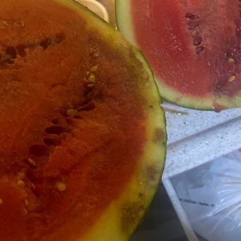 Bozuk Karpuz Teslimatı Ve Müşteri Hizmetlerinde Cevapsızlık