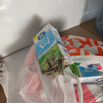 Eksik Patates Ve Bozulmuş Süt Ürünleri İçin Hızlı Ücret İadesi Talebi
