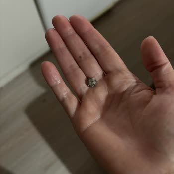 Kiraz Barbunya Konserve'de Taş Parçası Ve Boğulma Riski