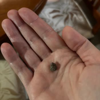 Kiraz Barbunya Konserve'de Taş Parçası Ve Boğulma Riski