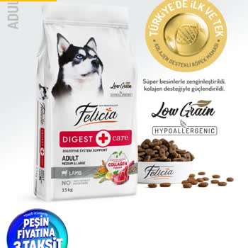 Felicia Pet Food Mama Alerjiye Sebep Oldu!