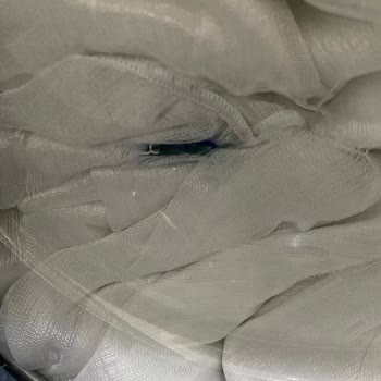 Ariel Pods Oxi Kapsül Deterjanı Tülde Renk Oluşturdu Ve Mağdur Oldum