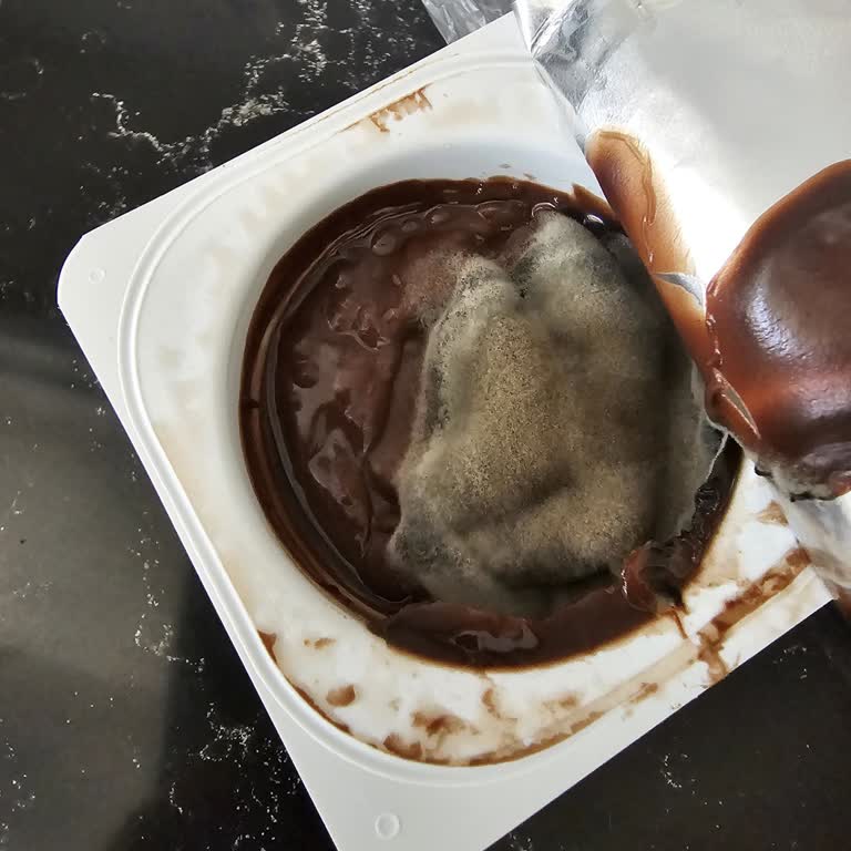 Danette Çikolatalı Pudingde Küf Görülmesi Sağlık Endişesi Ve Marka Güveni Sarsıldı