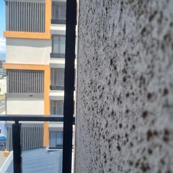 Bayduş Cam Balkon Rüzgar Çıktığında Camlar İleri Geri Oynuyor