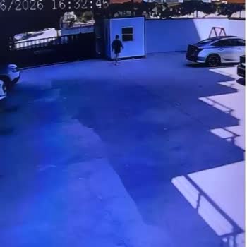 Teslim Edilmemiş 5 Kg Kedi Maması Ve Cevapsız Kargo Şikayeti