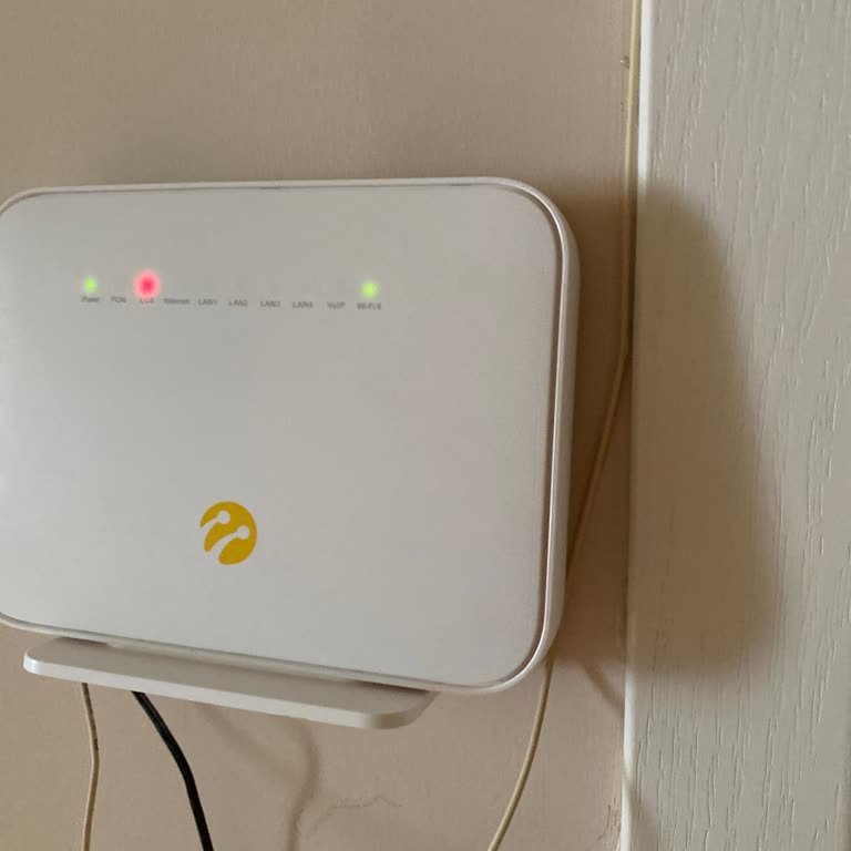 Portun Başkasına Verilmesi Sonrası İnternet Kesintisi Ve İade Talebi