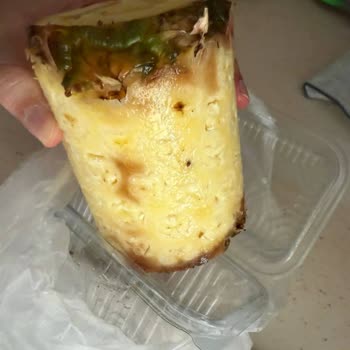 Bozuk Ananas Ve Canlı Destek Sorunu