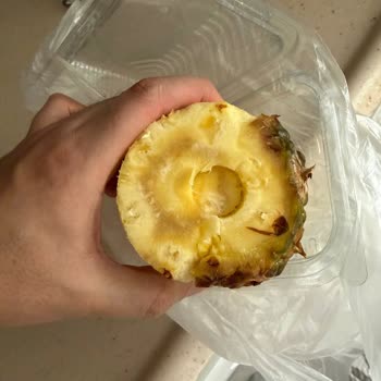 Bozuk Ananas Ve Canlı Destek Sorunu
