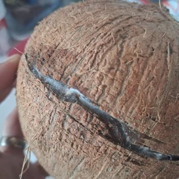 Migros Sanal Market'ten Gelen Küflü Hindistan Cevizi Ve Değişim Sürecindeki Oyalama