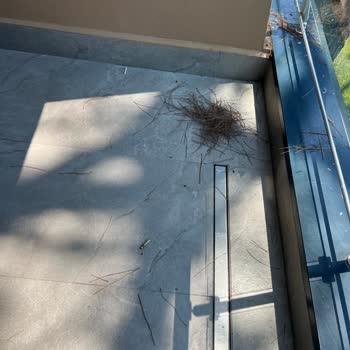 Balkon Temizliği İhmali Ve Geri Dönüş Yokluğu