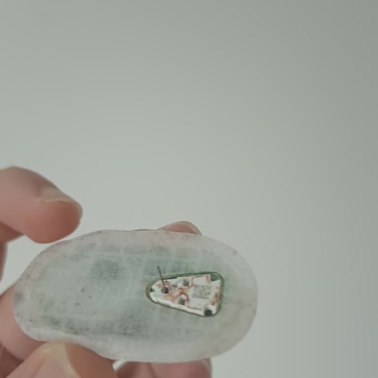 Sibionics Türkiye Mağduriyetim Konusunda Bana Yardımcı Olunmadı