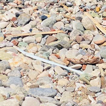 Çifteçeşmeler Halk Plajı’nda Çöp Krizi Ve Yetersiz Temizlik