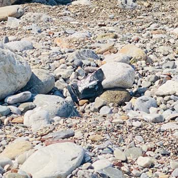 Çifteçeşmeler Halk Plajı’nda Çöp Krizi Ve Yetersiz Temizlik