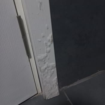 İlan Edilen Doğa Manzaralı Suit Oda Gerçekte Rutubetli Ve Kirli: 1 Gecelik Ücret İadesi Talebi