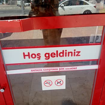 Eki aç