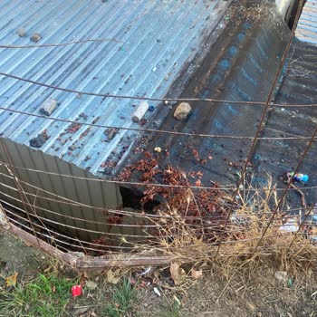 Sardunya Çocuk Parkı'ndaki Hasarlı Tel Çit Çocuk Güvenliğini Tehdit Ediyor