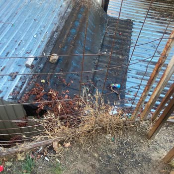 Sardunya Çocuk Parkı'ndaki Hasarlı Tel Çit Çocuk Güvenliğini Tehdit Ediyor