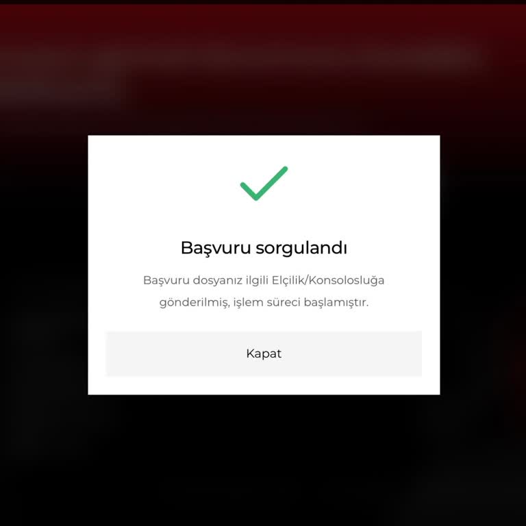 Almanya Kültür Vizesi İşlemindeki Gecikme Uçuşumu Riske Atıyor