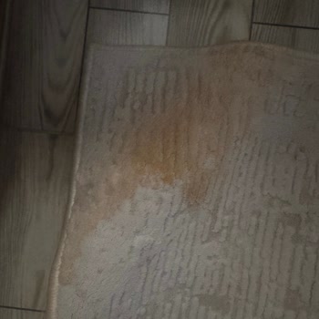 Deterjan Sızıntısı Sebebiyle Halım Ve Gıdalarım Zarar Gördü