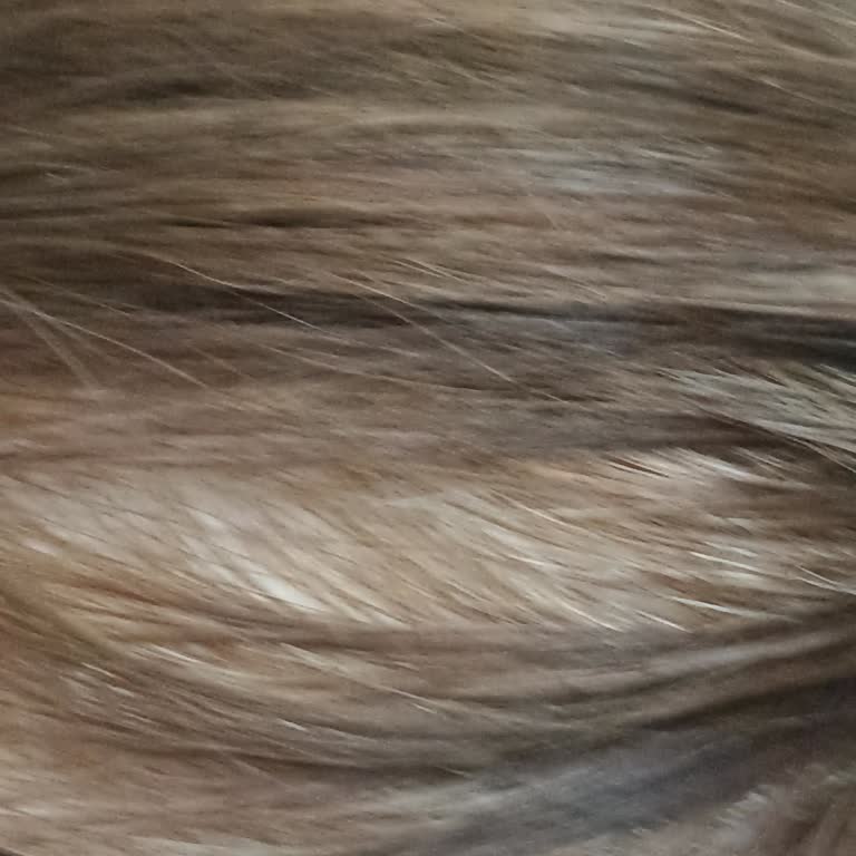 Saçım Turuncuya Döndü: L’Oreal Boya Hatası Ve İade Talebi