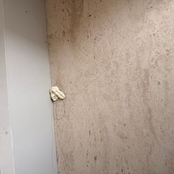 Hijyen Sorunu Ve İlgisiz Müşteri Hizmetleri İade Talebi