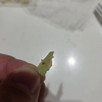 Çocuğum Helva İçindeki Plastik Parçayla Yaralandı; Şirket İlgisiz Kaldı