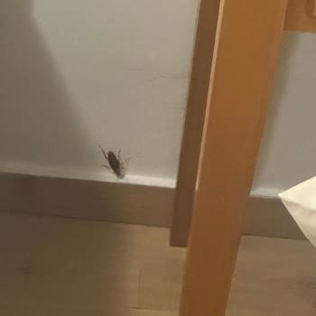 Joly Tur’un Yanıltıcı Oda Satışı Ve Konaklama Mağduriyeti