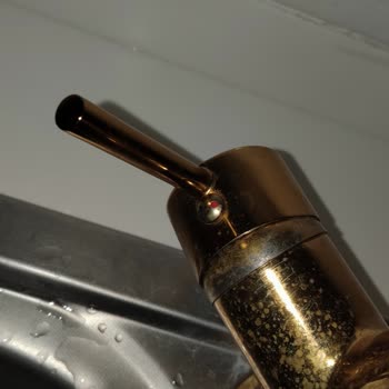 Kustar Gold 3 Yollu Musluğunda Hızlı Gözenek Ve Küflenme, Garanti Talebi