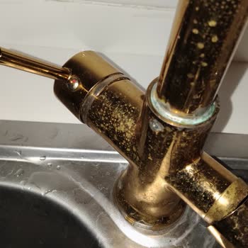 Kustar Gold 3 Yollu Musluğunda Hızlı Gözenek Ve Küflenme, Garanti Talebi
