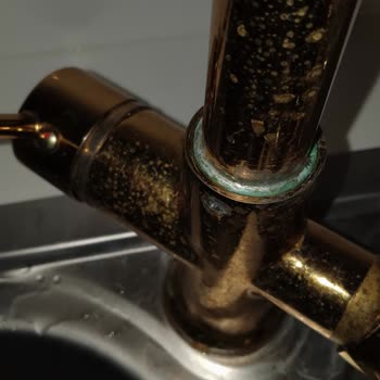 Gold 3 Yollu Arıtmalı Muslukta Dış Boya Bozulması Ve Garanti Yanıtı Yok
