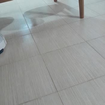 Roborock Q8 Pro Max Silme Modunda Çarpma Sorunu Çözülmedi