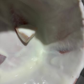 Son Kullanma Tarihi Geçmemiş Sek Protein Quark Ürününde Bozuk Kıvam Ve Tat